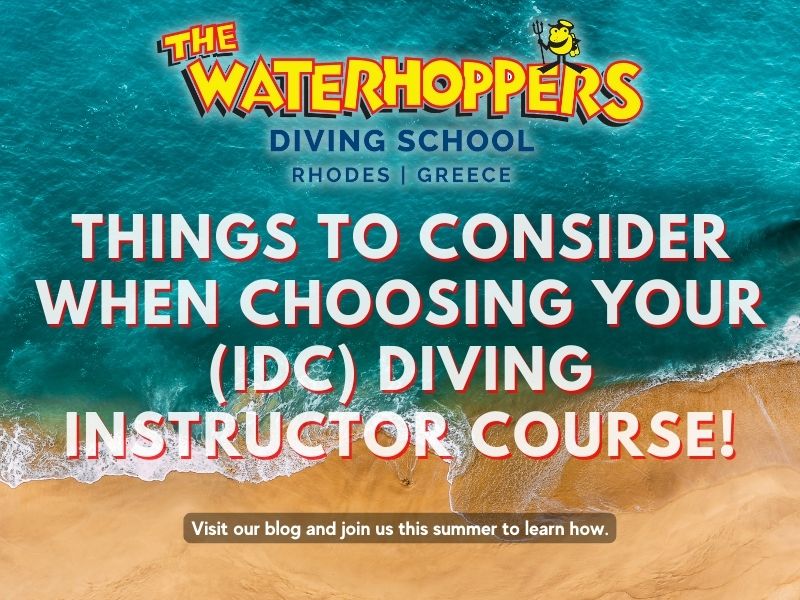 Things to Consider When Choosing your (IDC) Diving Instructor Course! Next IDC 4th to 11th April 2023